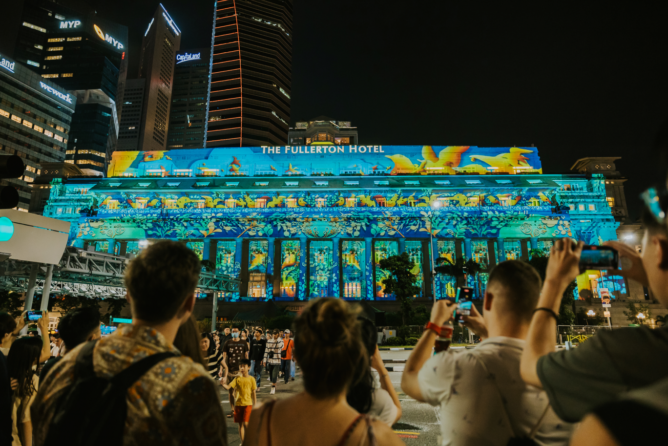 Projection of birds flying 